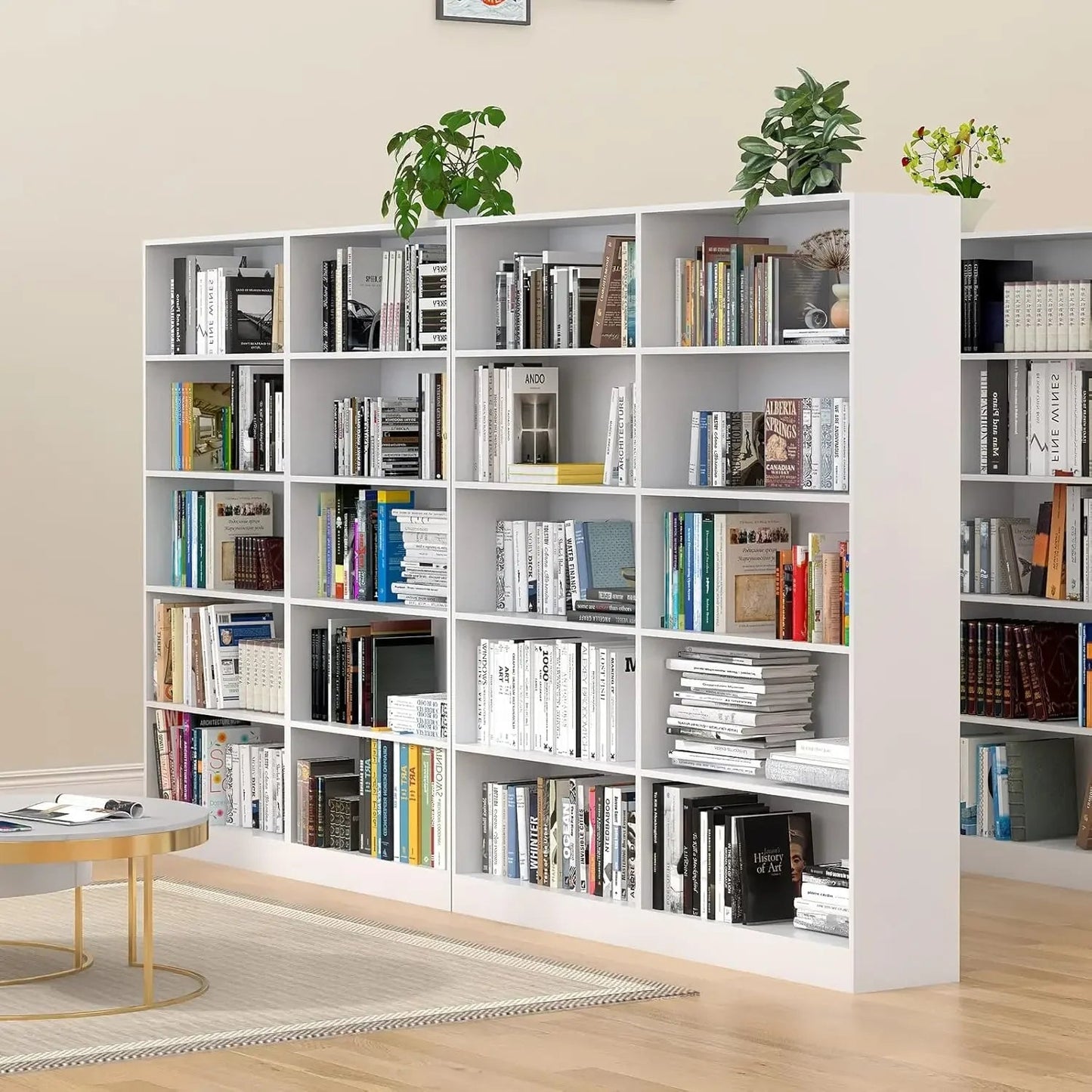 Bookshelves - SOLVEYE